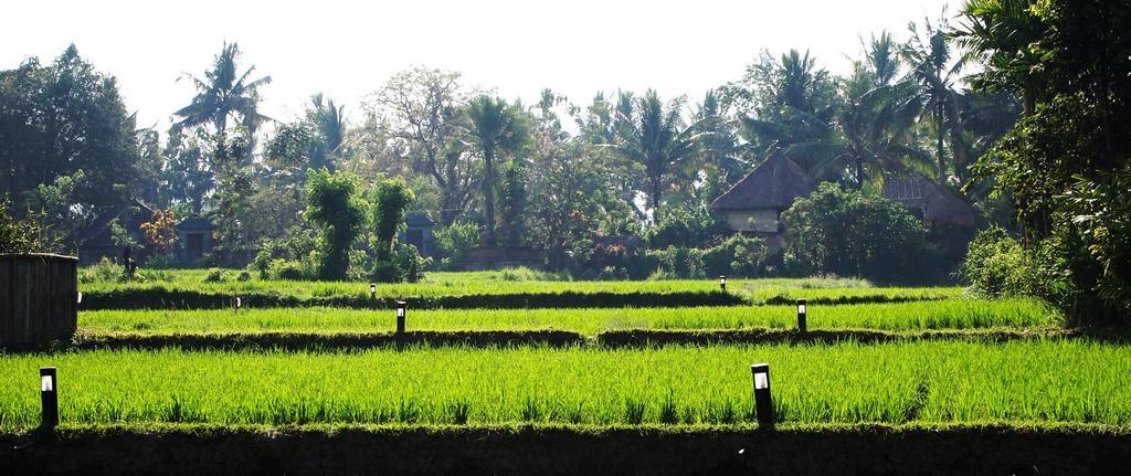 Saren Indah Hotel Ubud Exteriér fotografie