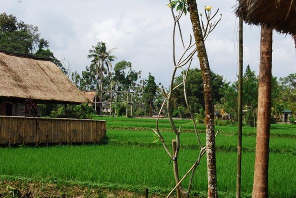 Saren Indah Hotel Ubud Exteriér fotografie