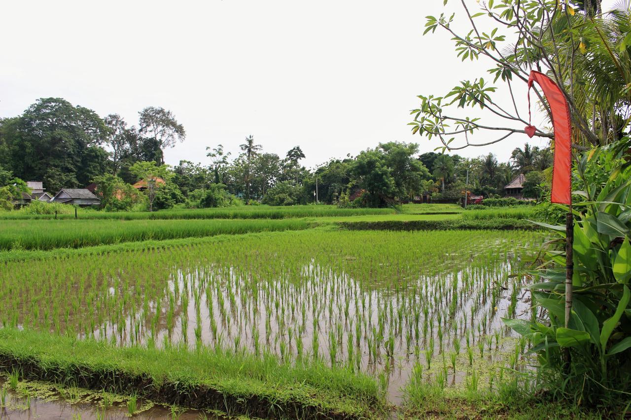 Saren Indah Hotel Ubud Exteriér fotografie