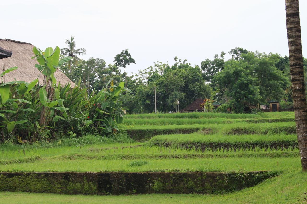 Saren Indah Hotel Ubud Exteriér fotografie