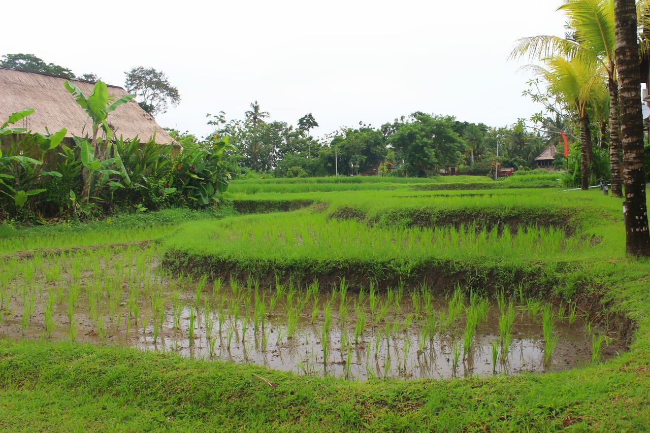 Saren Indah Hotel Ubud Exteriér fotografie