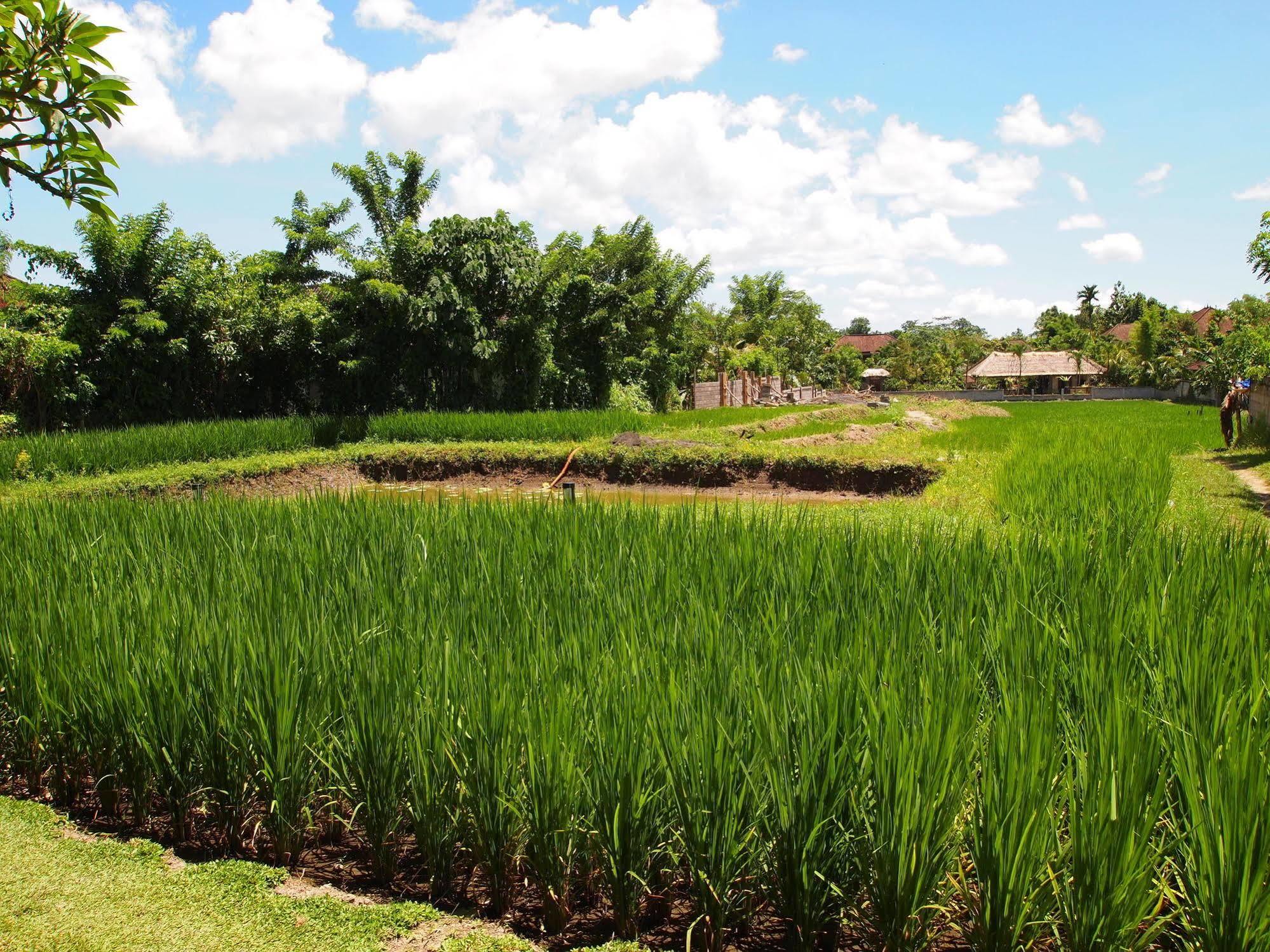 Saren Indah Hotel Ubud Exteriér fotografie