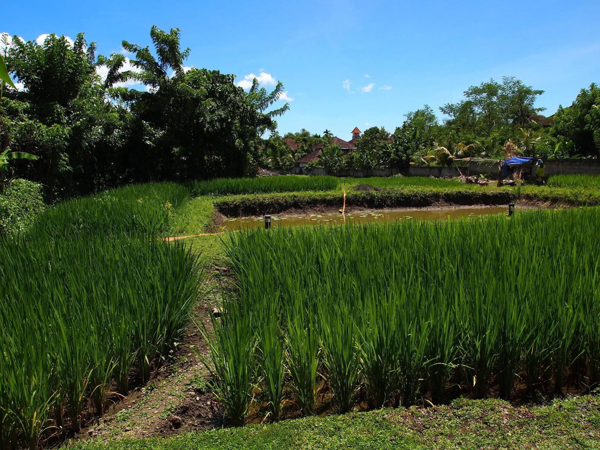 Saren Indah Hotel Ubud Exteriér fotografie