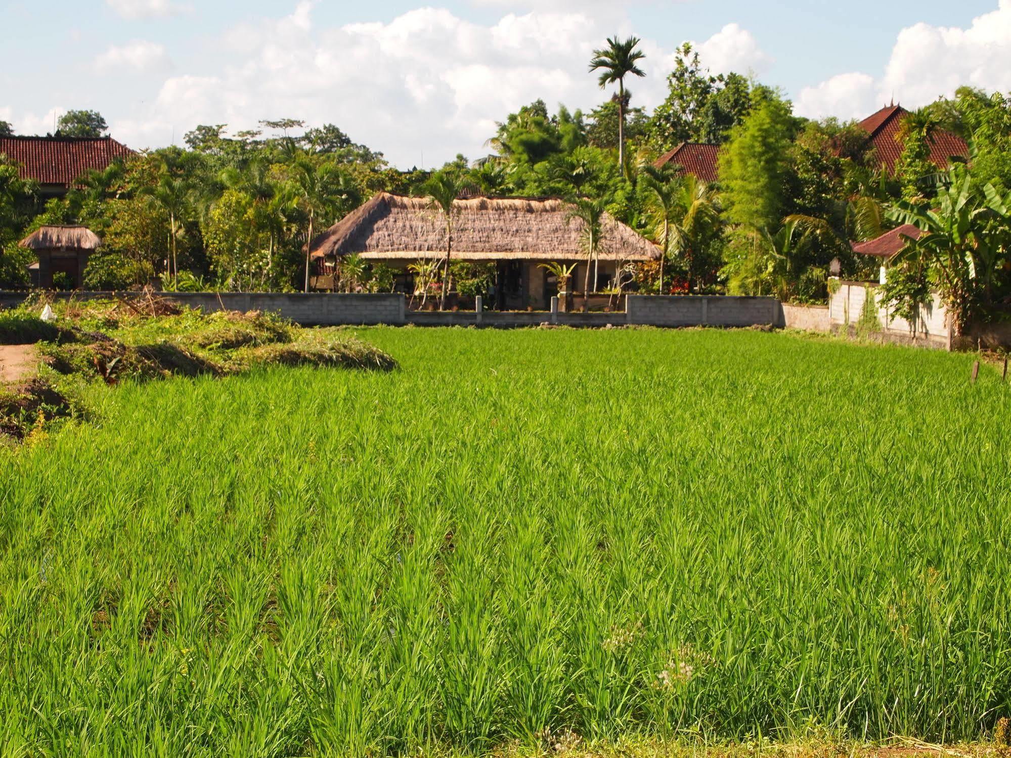 Saren Indah Hotel Ubud Exteriér fotografie