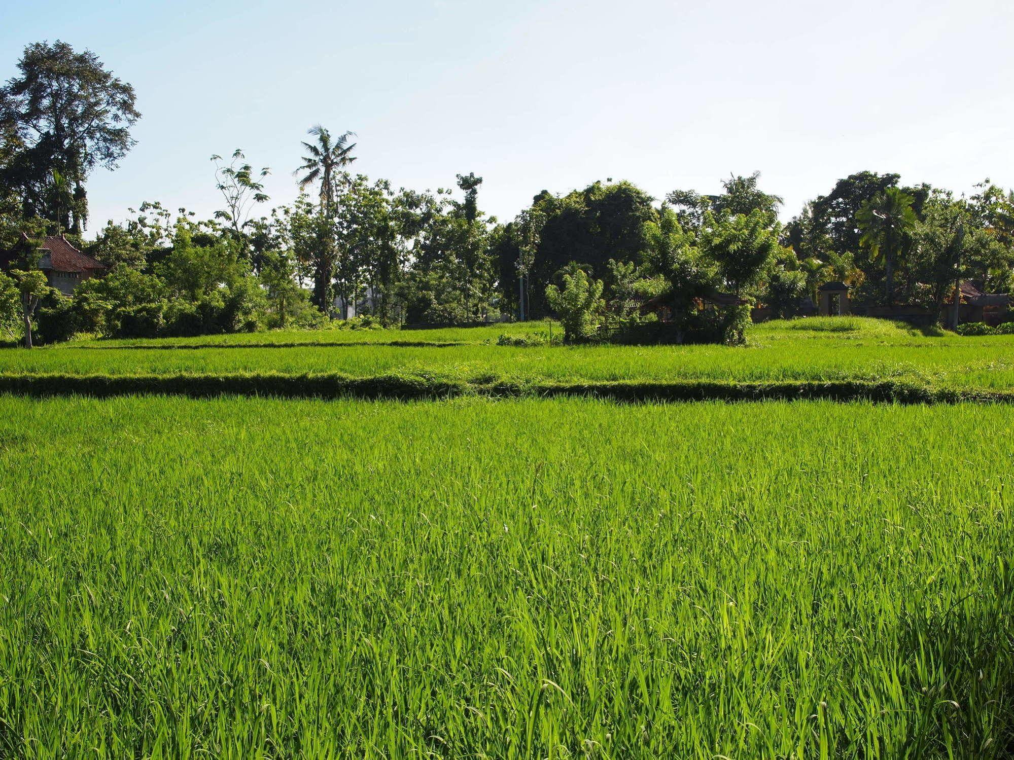 Saren Indah Hotel Ubud Exteriér fotografie